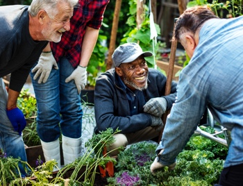 group of people planting vegetables